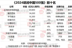 81家粤企上榜！2024胡润中国500强企业出炉图片