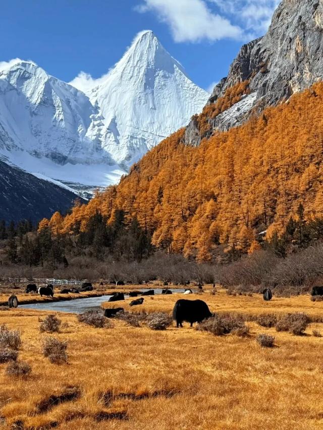 甘孜雪后的浓颜，是这里给的!