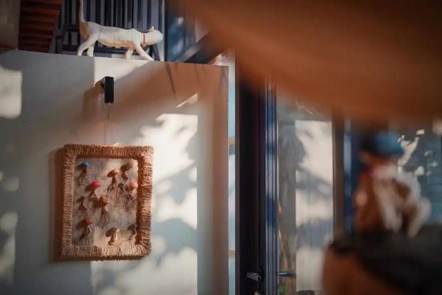 来东城这个胡同小院，邂逅蘑菇精灵的童话秘境——