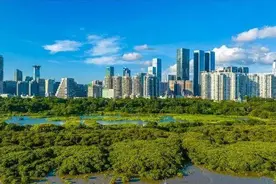 四十载！这里成为深圳最具代表性城市生态底色图片
