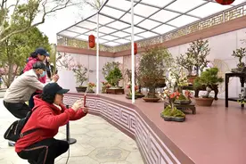 陶然亭公园第十届海棠春花文化节即将启幕 推荐3条观赏路线图片