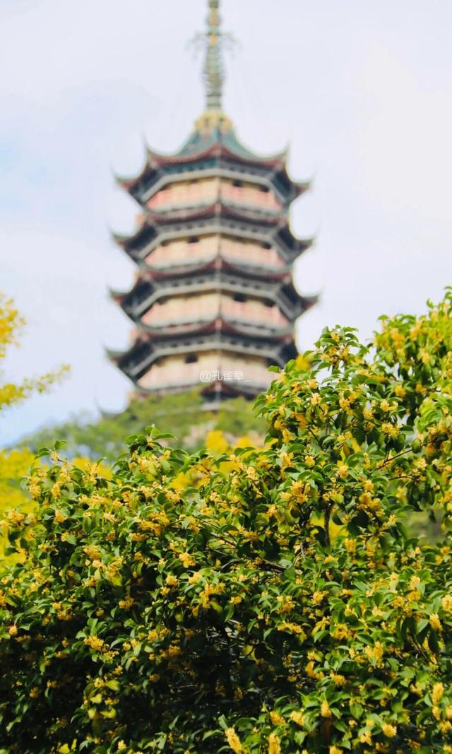 秋日限定“双骄”：从赏到玩转的完整攻略！