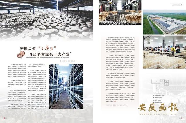刊讯 | 一册画报，凸显大美安徽！《安徽画报》新一期已送达，请查收~