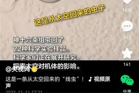神十六乘组从太空带回的“线虫”，将被用于辐射研究图片
