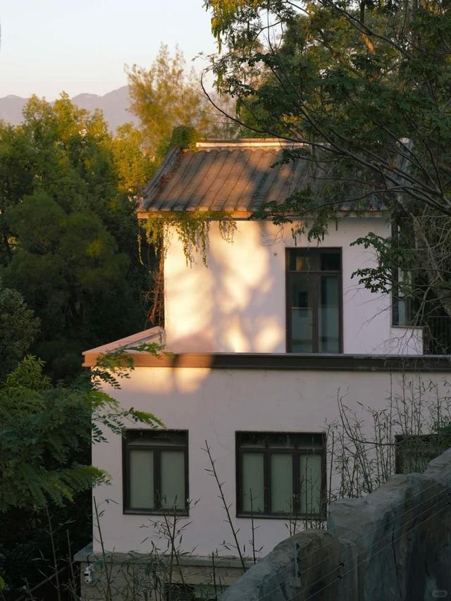 福州熊猫世界内部实景首次曝光！期待值拉满！