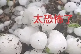 四川青川县遇冰雹天气，持续近10分钟，市民：汽车前后窗玻璃被砸烂，吓得腿直抖图片