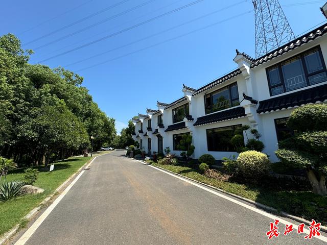 京港澳高速周边环境提升，诸葛城半年接待游客超50万人次