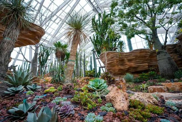 预计4月正式向公众开放！宁波新增一个打卡好去处