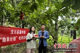 村支书干上“新农活” 甜樱桃销售蹚出新路子图片