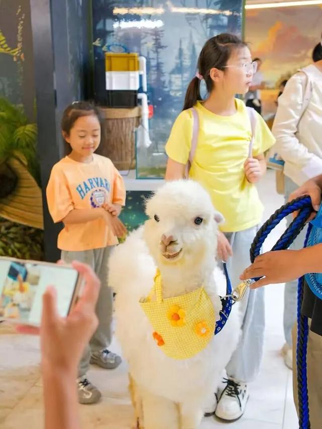 116万人次！有你吗？