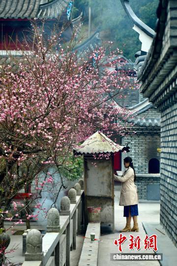 福州千年古刹梅香满枝