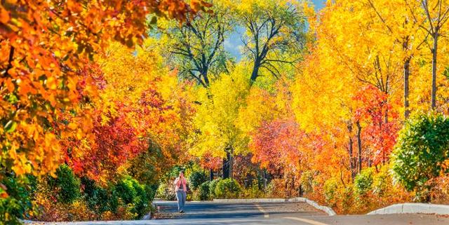 四季流转 多彩枣庄 | 枣庄：凤凰绿道色彩斑斓风景如画