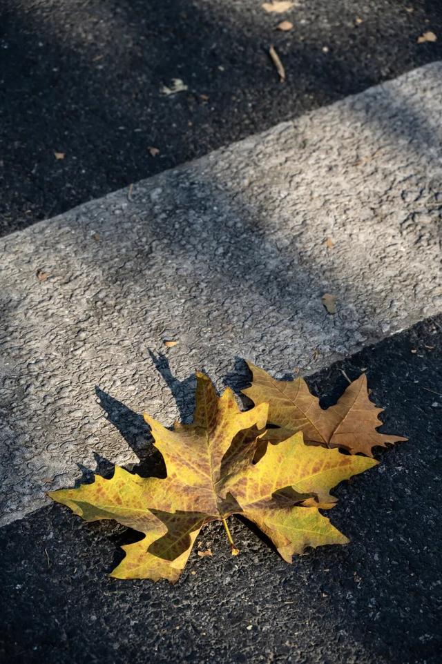 还有一周，快去打卡