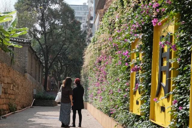 昆明最新网红打卡点！木质窗棂配拿铁香，翠湖边百年老街→浪漫咖啡长廊，拍照攻略来了！