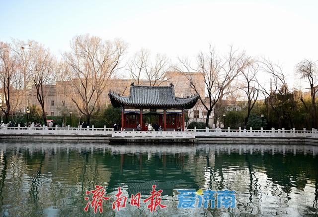 一年四季 泉在济南丨珍珠泉畔人气旺 游客打卡定格泉城冬日灵动之美