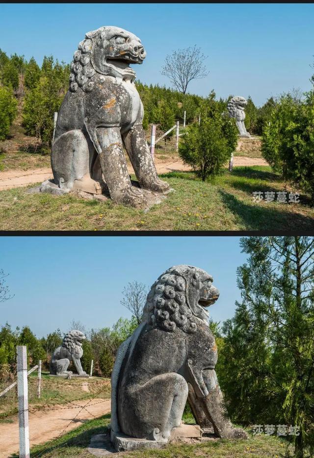 唐陵西线丨乾县-礼泉 乾崇靖建昭陵（唐代露天石雕艺术博物馆）（9/30-10/4）