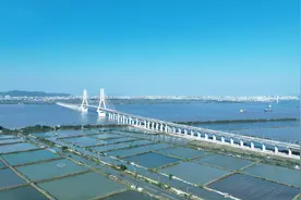 汕头牛田洋快速通道项目牛田洋大桥主桥钢桥面沥青层铺装完成图片