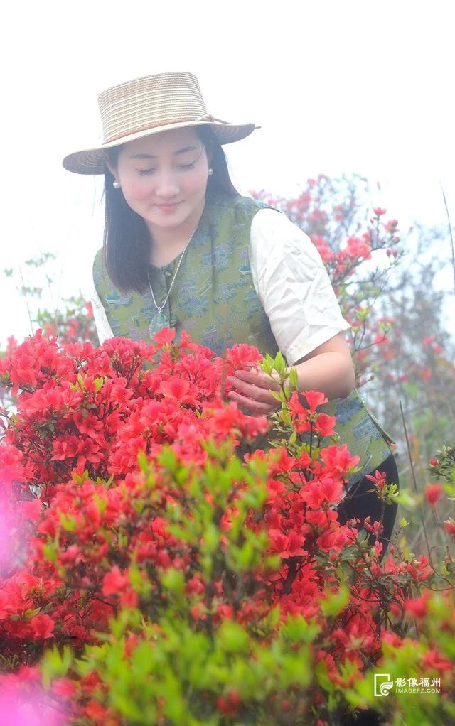 姹紫嫣红！福州进入春日高颜值时刻！