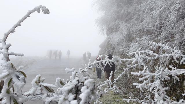 贵定：元龙山雪景醉游人