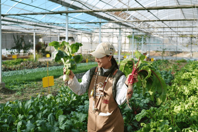 不知道去哪遛娃？来这里呀！