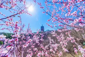 北京这座9层高塔，首次面向公众开放！图片