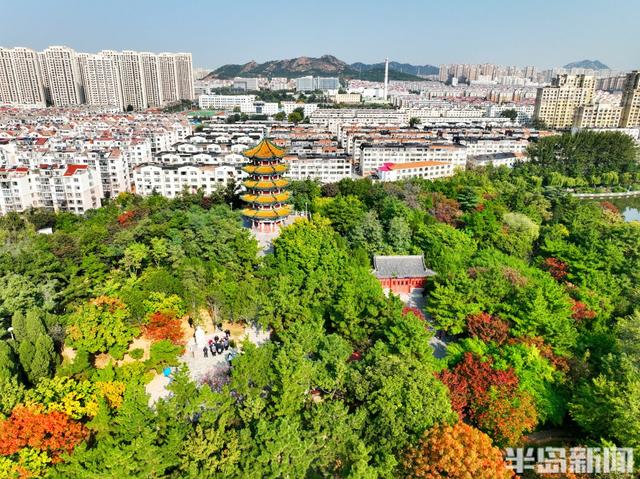 金秋斑斓 公园如画