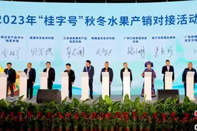 广西畅通“桂果”供应链 举办“桂字号”秋冬水果产销对接活动图片