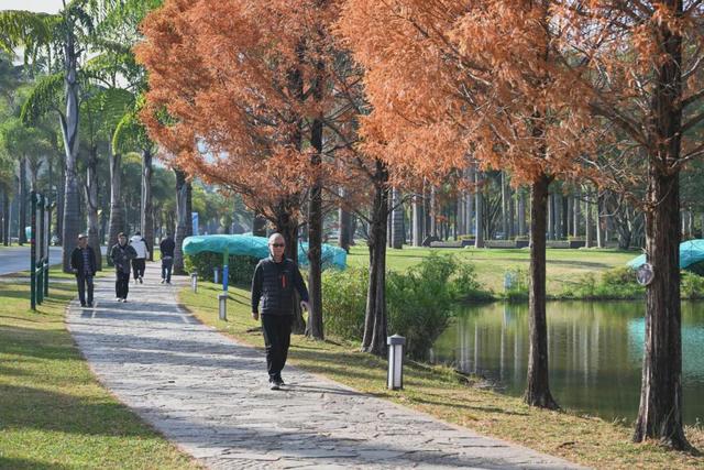 民宿满房！弥勒避寒游持续升温～