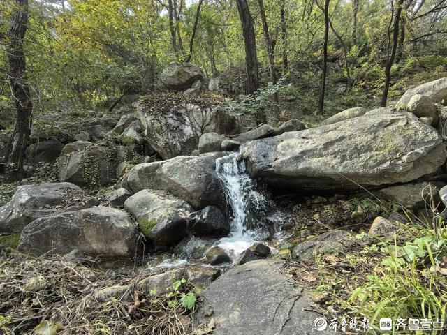 探秘泰山东御道：古道浸秋韵，溪流伴密林，保洁员日行近20公里护清幽