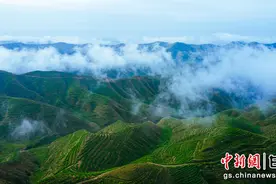榆中新先事|北山生态修复 再现“好风光”图片