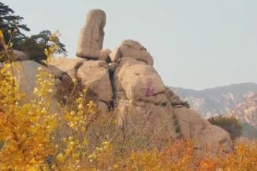 河北大名，全国一等奖！千年古县的爆款密码藏在这里，还有……