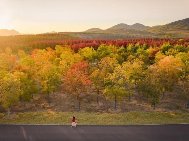 快来打卡！在日照，遇见“煤”好！