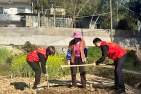 志愿服务暖人心 服务群众零距离图片