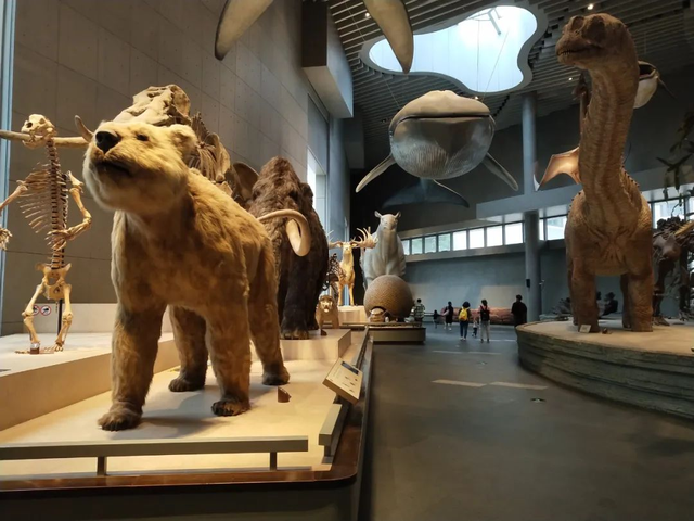 市中心赏梅季到了，免费打卡200余株梅花！这条路线打包冬日惊喜→