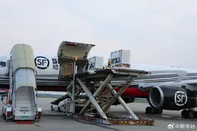 欢迎回家！旅日大熊猫回国高清大图图片