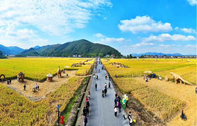 山水织梦演绎“茶稻生金”，全域风貌蝶变“富春山居”