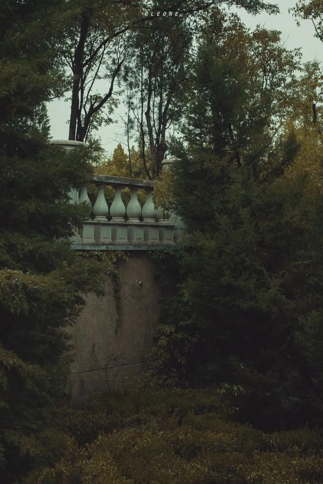 顶级美学！西安这4个园林，美到失语！