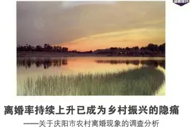 多地农村地区离婚率上升引关注，机构和学者分析原因提出对策图片