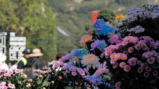 “双节”期间文旅市场百花齐放 多元业态激活消费新活力