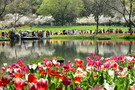 春秋放假 全国都要学杭州了图片