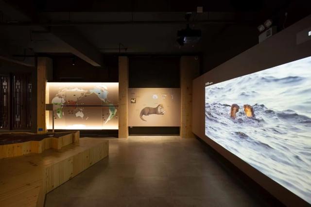 连休五天，浙L大部队已到……