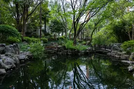 快看！这里藏着复旦的夏日清凉图片