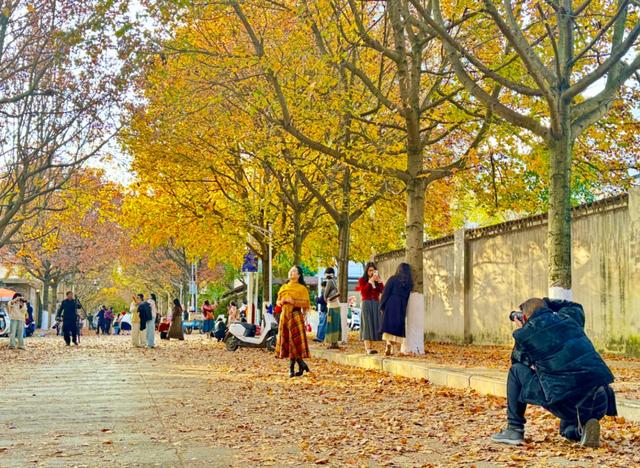 落叶缓扫的小美好！砚山这条街把冬日浪漫具象化了丨有一种叫云南的生活之365天
