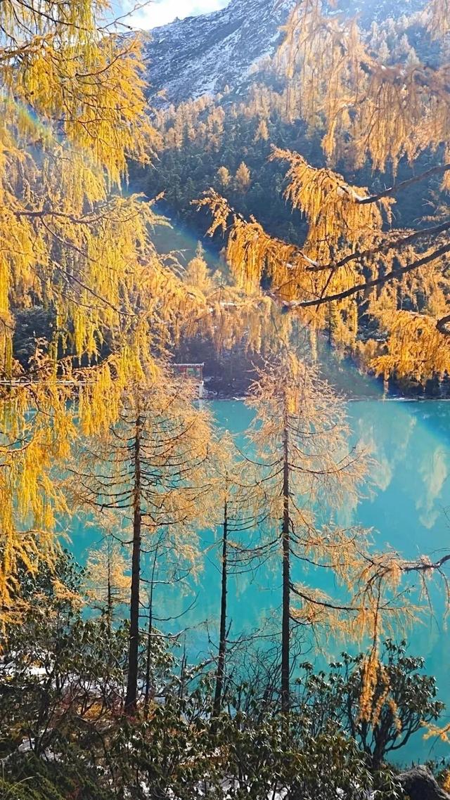 丹道环线：吸氧、洗眼、避世，一键三连！