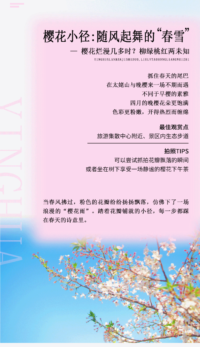 别辜负春天！4月宁德1景区进入颜值巅峰！快来赏花~