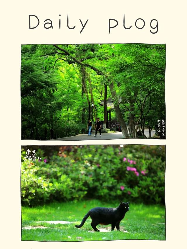 栖霞山这个野生乌托邦，专治各种规规矩矩！