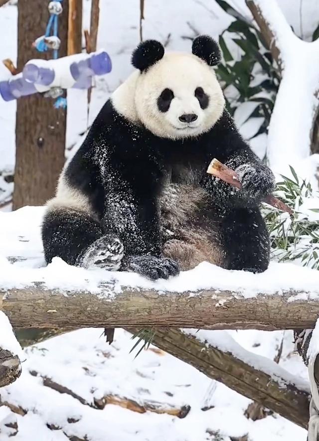 不是一亿人，是两亿人！南京文旅拿下两项全省第一