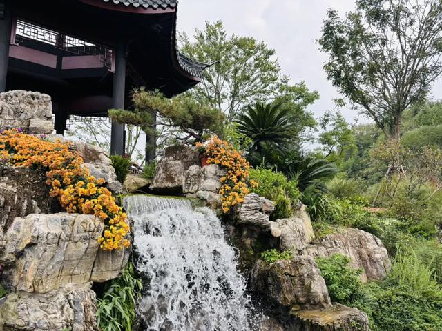 成都唯一“世界级”公园,以前门票120元,现在免费,唯一缺点就是远