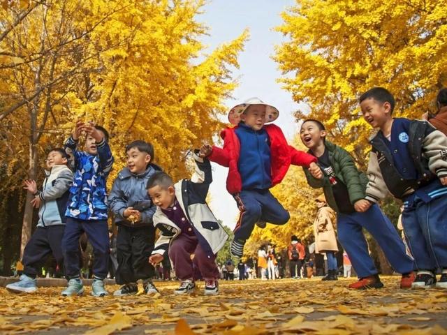 不必扎堆地坛公园！东城区赏秋攻略，一图收藏