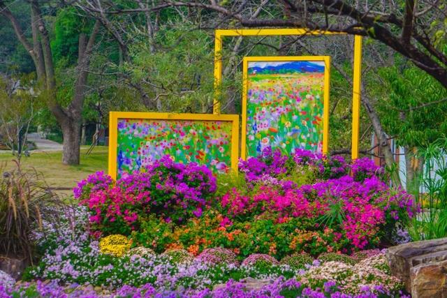 苏州的秋天，给你点“颜色”看看！